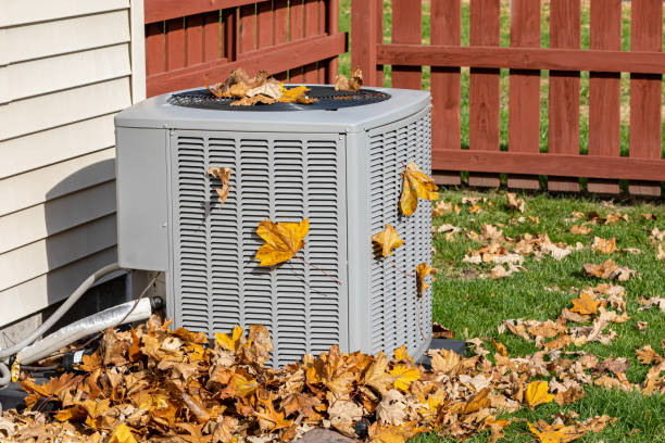 Best HVAC Air Duct Cleaning  in Olympia Heights, FL
